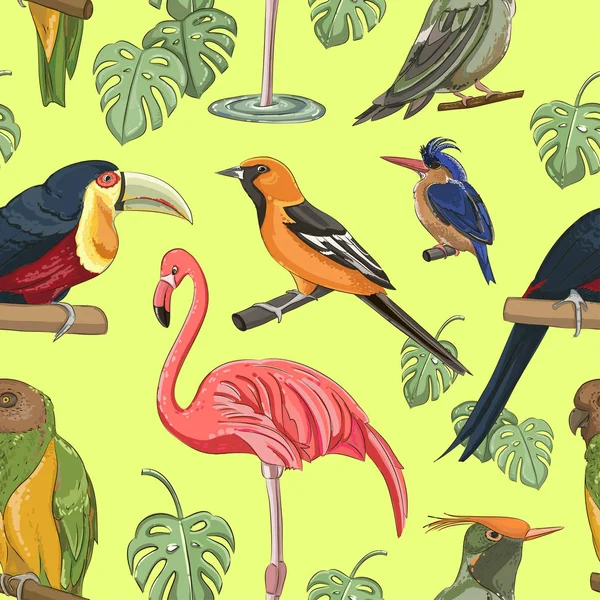 Modèle exotique oiseaux colorés — Image vectorielle