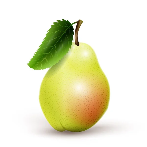 白い背景に隔離された緑の梨 — ストックベクタ
