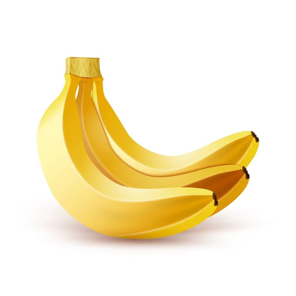 Vector Realista Bunch de bananas — Vetor de Stock