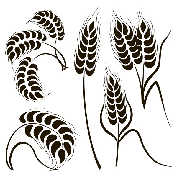 Satz von einfachen Weizenähren Symbole — Stockvektor