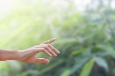 doğa bambu sol arka plan, kırpma yolu ile işaret genç kadın el