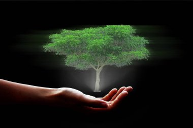 Iot ile Akıllı Teknoloji, fütüristik tarım teknolojisi konsepti Siyah arka plan, kırpma yolu ile genç kadın elinde dijital holografik ağaç