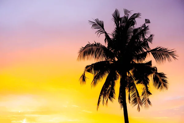 Silhouette kókusz pálmafa szabadban Concept a piros kék ég naplemente a strand közelében — Stock Fotó