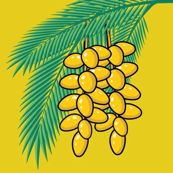 Fresh Dates on palm tree. — Stock Vector