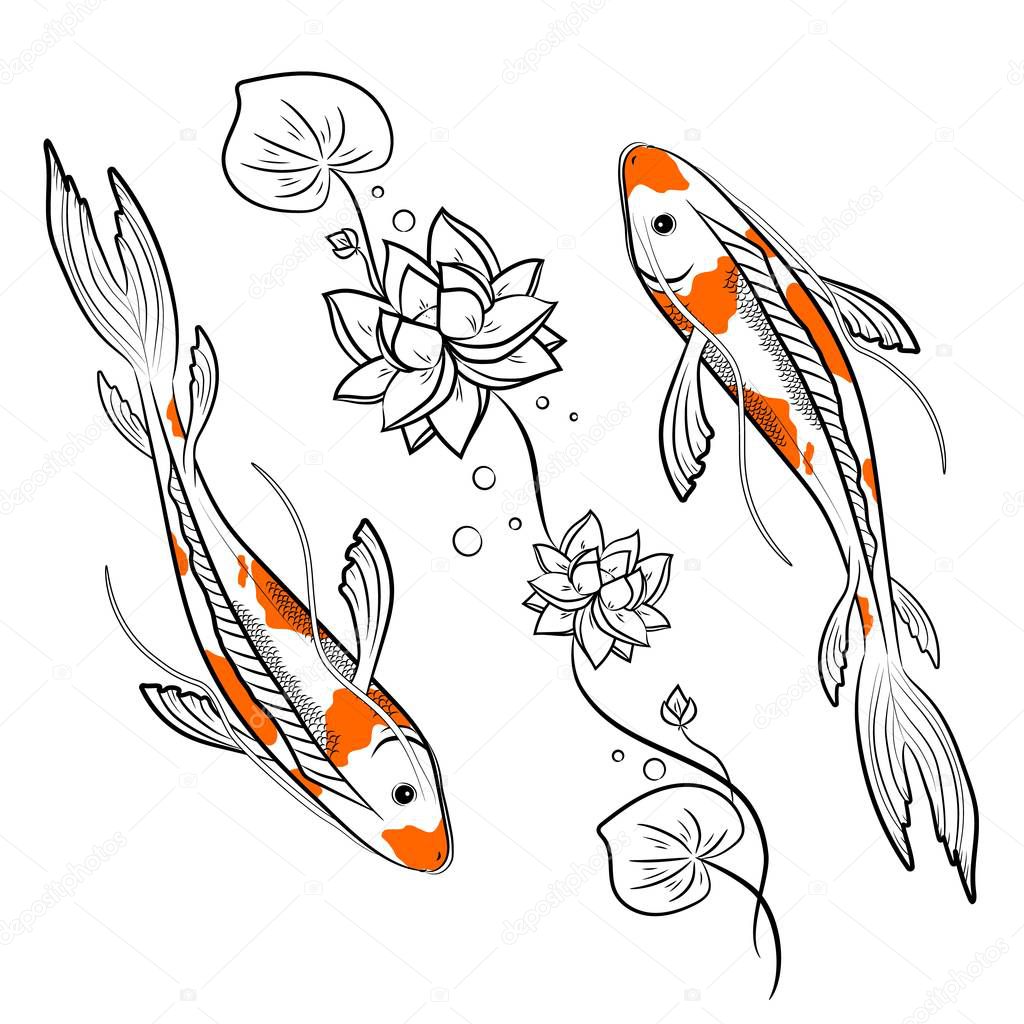 Koi carps fish with lotus vector illustration. Japanese oriental style colorful carps swimming.