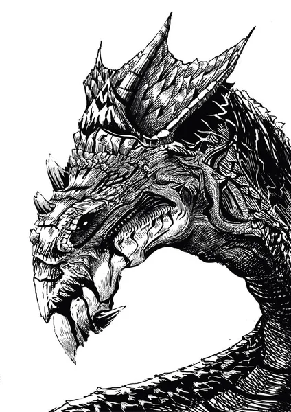 Dragon Head Picture — Stock Photo, Image
