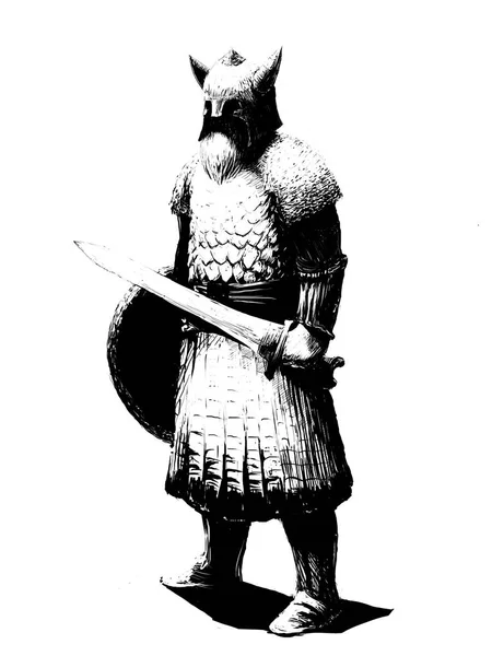 Viking Warrior Picture — Stock Photo, Image