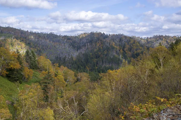 観山と秋の森 — ストック写真
