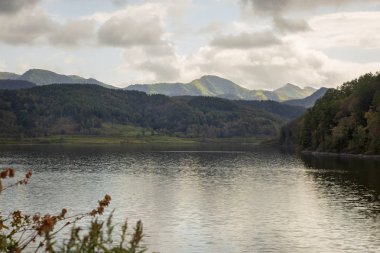 Gölde bir dağ orman