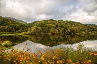 Gölde bir dağ orman