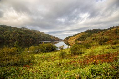 Gölde bir dağ orman