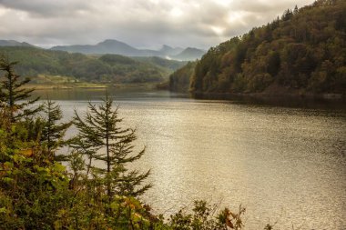 Gölde bir dağ orman