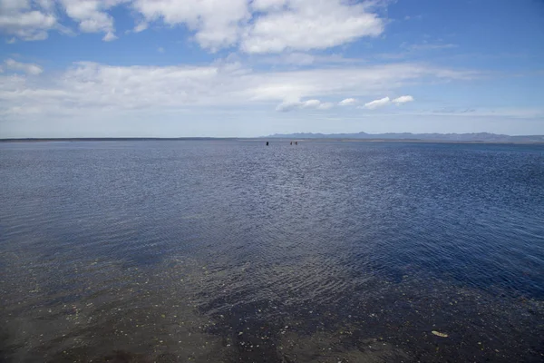 Sulla Riva Lago Poco Profondo — Foto Stock