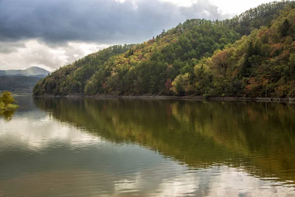 Gölde bir dağ orman