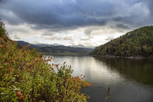 Gölde bir dağ orman