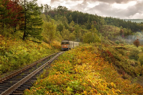 Vlak Jezero Horském Lese — Stock fotografie