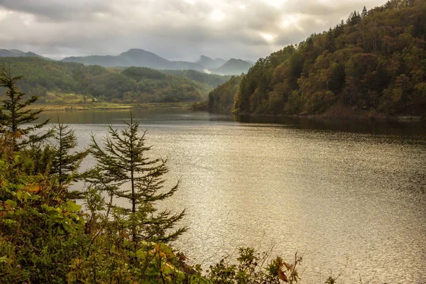 Gölde bir dağ orman