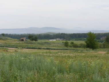 Dağlar, güzel, doğa, çimen, çiçek, gökyüzü mavi