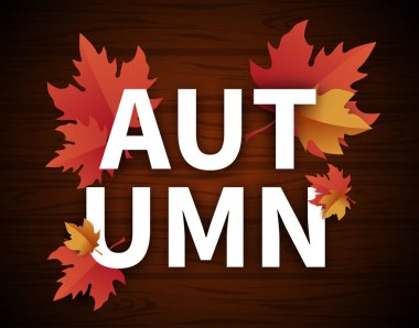 Ahşap dokulu sonbahar ard ile güzel akçaağaç yaprakları. 