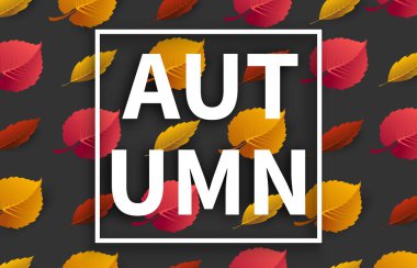 Gri sonbahar kartı güzel yaprak desenli. 