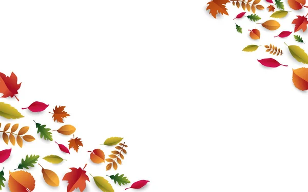 Білий осінній фон з красивим опалим листям . — стоковий вектор