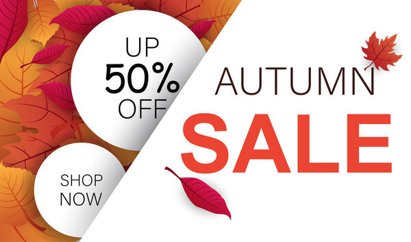 Autumn 50 off sale booklet with leaves. Shop now poster.