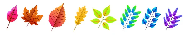 Conjunto de hermosas hojas de color aisladas en blanco . — Vector de stock