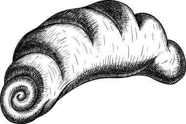 Ayçöreği beyaz arkaplanda izole edildi.