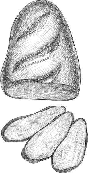 白い背景に分離されて跳ねパン. — ストックベクタ