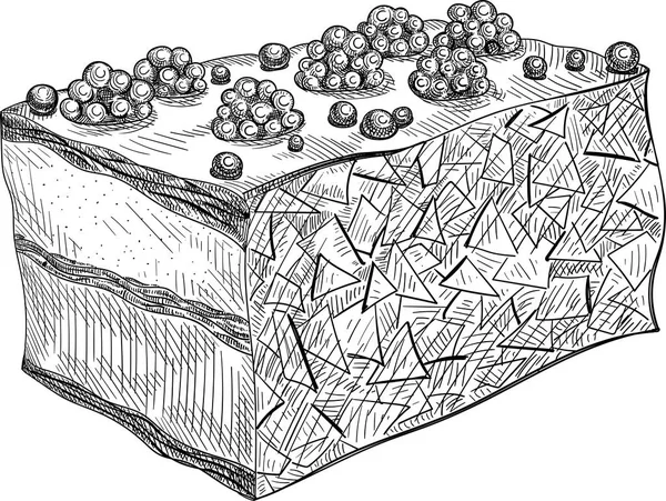 Trozo de boceto de pastel aislado sobre fondo blanco . — Archivo Imágenes Vectoriales