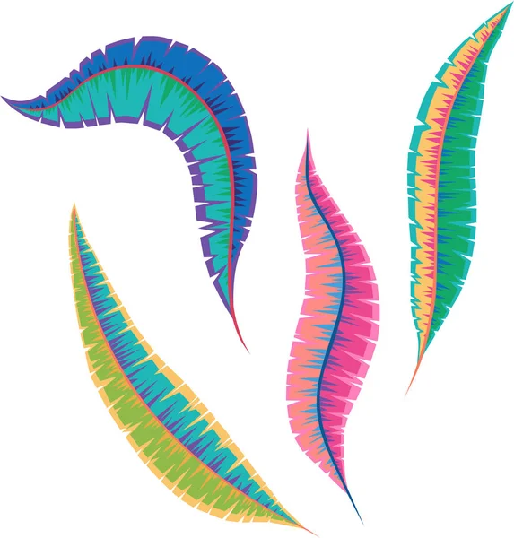 Plumas de carnaval de colores brillantes aisladas en blanco . — Vector de stock