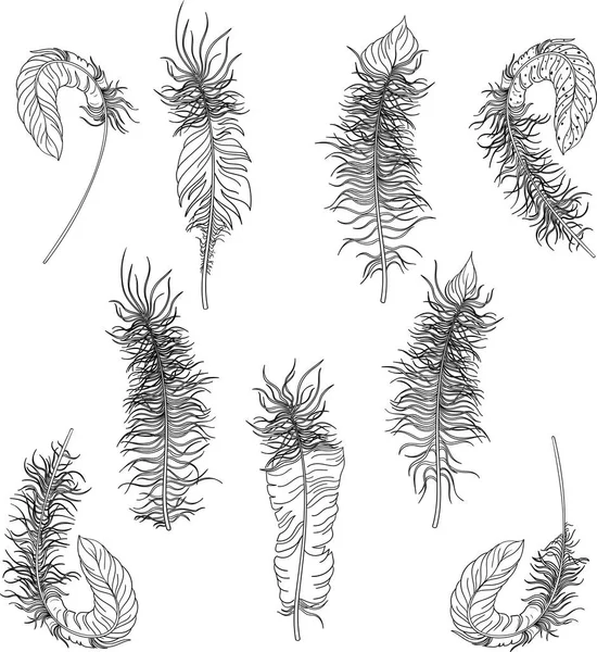 Schwarze Faschingsfedern Skizzen isoliert auf Weiß. — Stockvektor