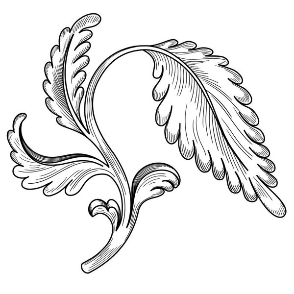 Hand-drawn leaf sketch isolated on white.