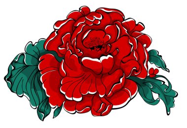 Kırmızı izole peony çiçek kroki. 