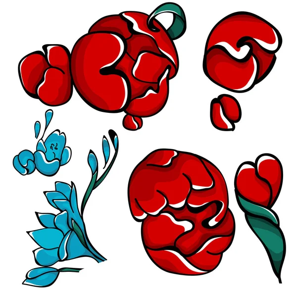 Κόκκινο απομονωμένες peony λουλούδια σκίτσο. — Διανυσματικό Αρχείο