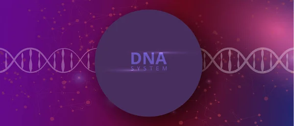Banner abstracto con molécula de ADN, patrón de hélice en backgro rosa — Vector de stock