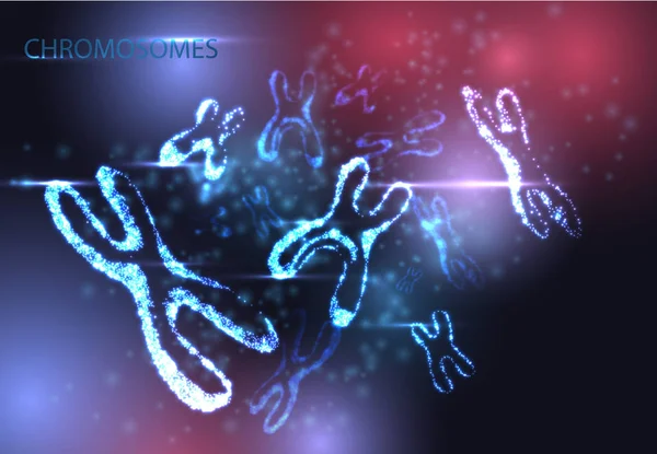 Cartel abstracto con molécula luminosa de ADN, cromo X hembra de neón — Vector de stock