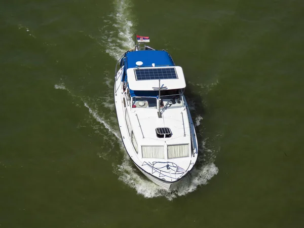 Liten Båt Kör Nedför Floden Sava Belgrad Serbien — Stockfoto