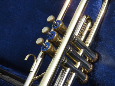 Guca, Sırbistan için trompet Festival sokak satışında trompet vanaları.                  