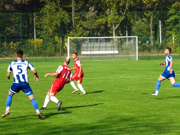 Belgrad Serbien Oktober 2019 Serbiska Ligan Fotbollsmatch Mellan Imt Och — Stockfoto