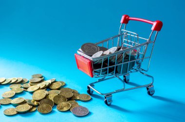 Alışveriş ve e-ticaret kavramı. Kaydetme para kavramı. Alışveriş arabası veya madeni para ile sepeti.