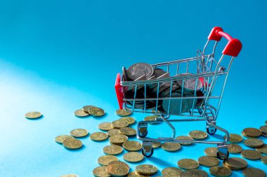 Alışveriş ve e-ticaret kavramı. Kaydetme para kavramı. Alışveriş arabası veya madeni para ile sepeti.