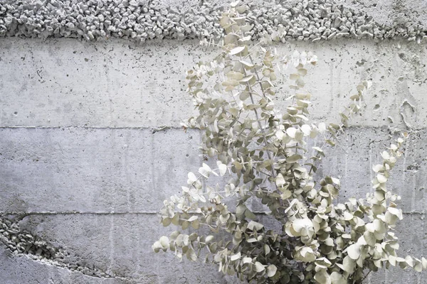 Dekorasyon Hazır Fotoğraf Için Vazoda Kurutulmuş Çiçekler Buket — Stok fotoğraf