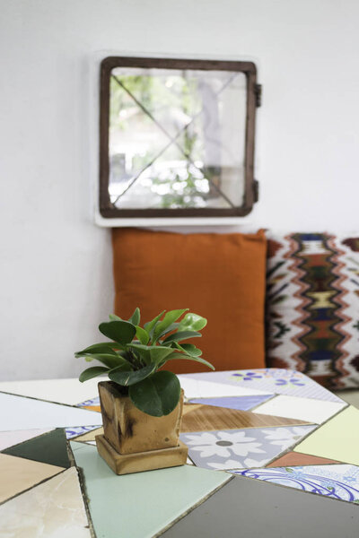 Green plant pot on the table, stock photo