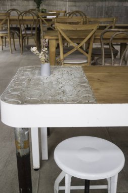 Kuru Okaliptüs yaprakları şube vazoda, stok fotoğraf