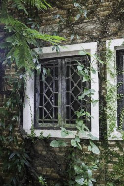 Sarmaşık, yerel tatil köyünde tuğladan ev, stok fotoğrafı.