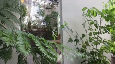 Açık havada bahçe Restoran, stok görüntüleri çevreleyen