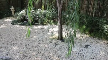 Küçük zen bahçesi ile taş fener, stok görüntüleri