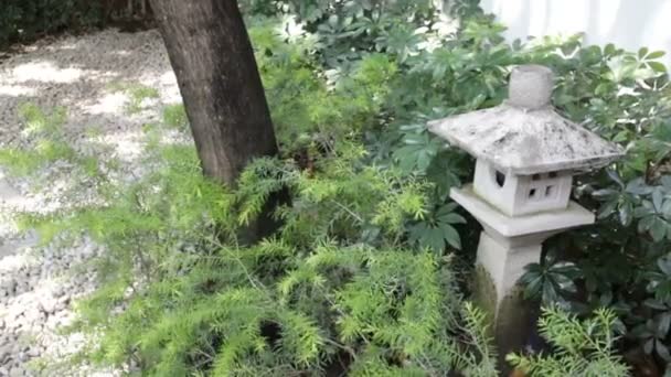 Lanterna Pietra Nel Giardino Zen Stock Footage — Video Stock