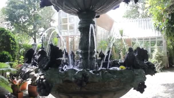 夏の屋外庭園 ストック映像の噴水 — ストック動画